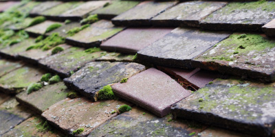 Kilkeney roof repair costs